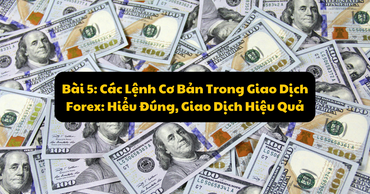 Các Lệnh Cơ Bản Trong Giao Dịch Forex: Hiểu Đúng, Giao Dịch Hiệu Quả